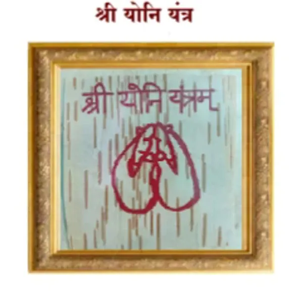 सम्मोहन और योनि वशीकरण eBook पेज प्रीव्यू 2